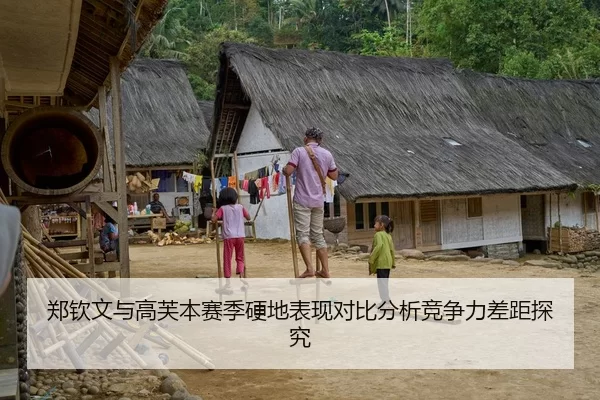 郑钦文与高芙本赛季硬地表现对比分析竞争力差距探究