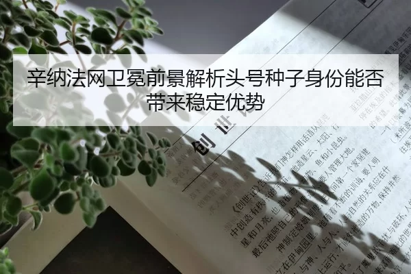 xin-na-fa-wang-wei-mian-qian-jing-jie-xi-tou-hao-zhong-zi-shen-fen-neng-fou-dai-lai-wen-ding-you-shi-2-608.jpg