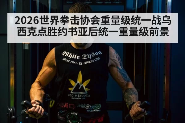 Tyson Fury boxing